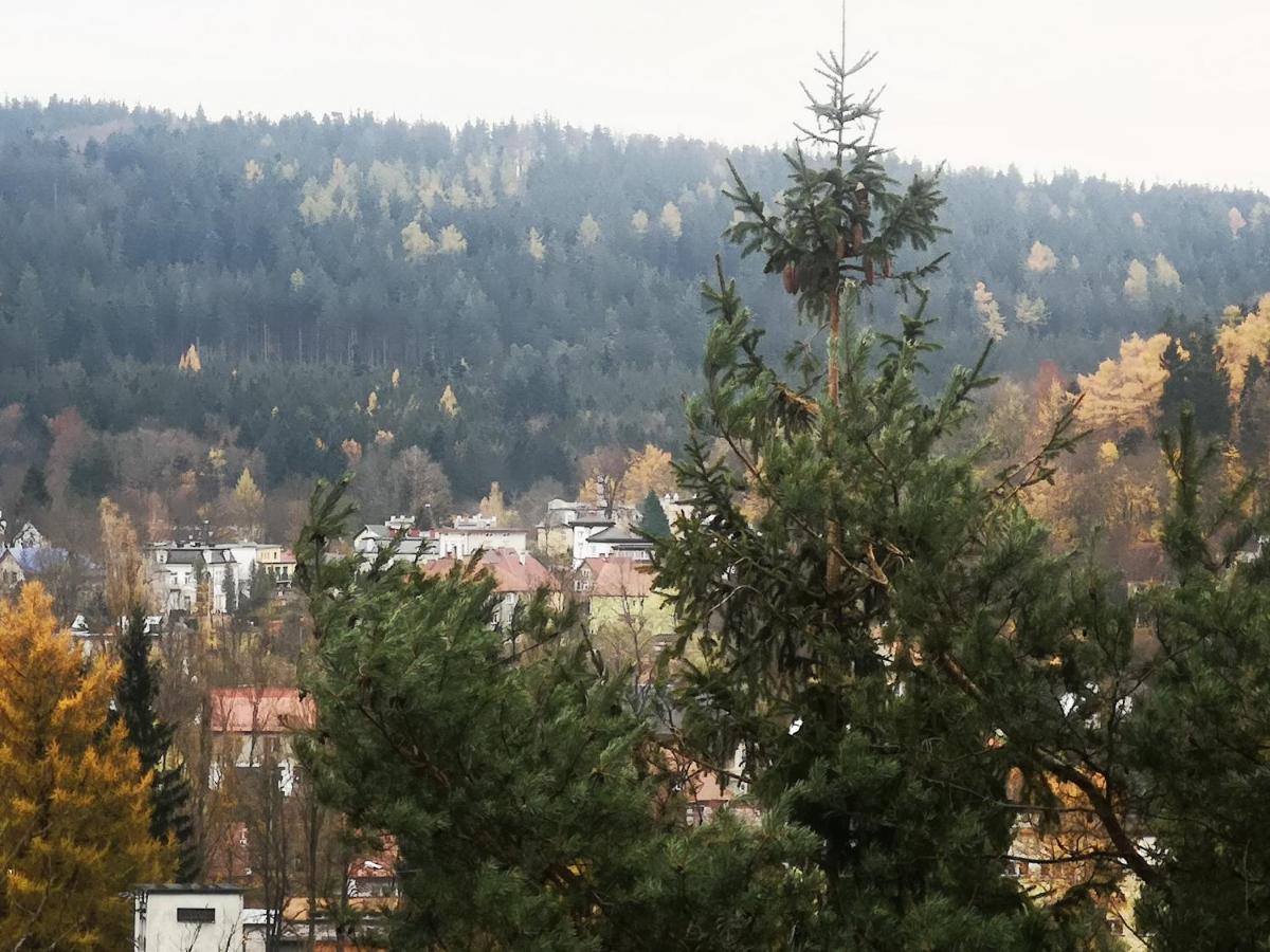 Apartamento Irysek Lądek-Zdrój Exterior foto